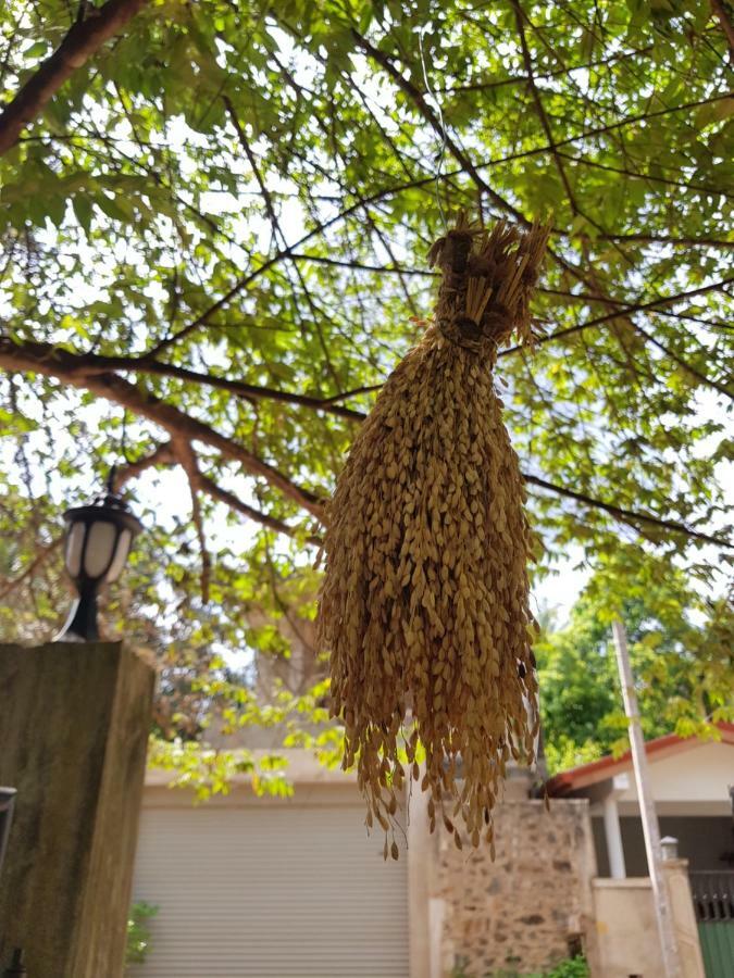 Nimal'S Home Anuradhapura Dış mekan fotoğraf